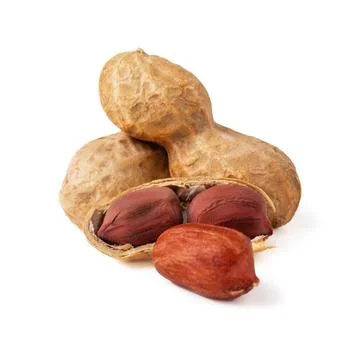 Set of peanuts in a nutshell, unpeeled and shelled peanuts isolated on white  Foto stock