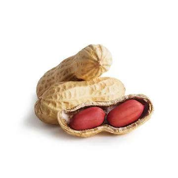 Set of peanuts in nutshell, unpeeled and peeled peanuts isolated on white bac Foto stock
