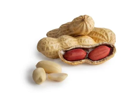 Set of peanuts in nutshell, unpeeled and peeled peanuts isolated on white bac Stock Photos