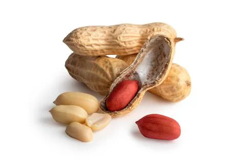 Set of peanuts in nutshell, unpeeled and peeled peanuts isolated on white bac Stock Photos