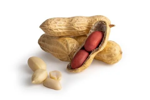 Set of peanuts in nutshell, unpeeled and peeled peanuts isolated on white bac Stock Photos