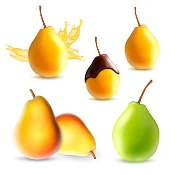 Set of pear Illustrazione stock