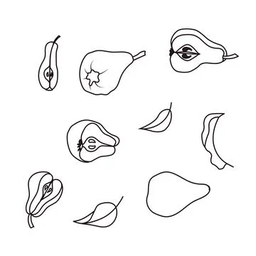 Set of pears in doodle style. Vector illustration isolated on white backgroun Stock Illustration