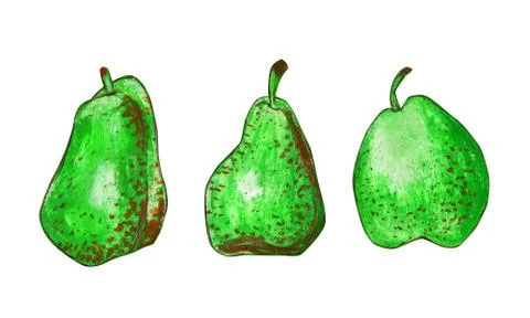 Set of pears isolated on a white background. Stock Illustration