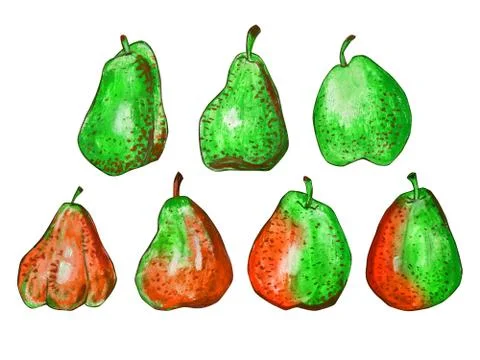 Set of pears isolated on a white background. Stock Illustration
