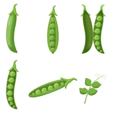 Set of peas isolated on white background. Flat vector illustration Illustrazione stock
