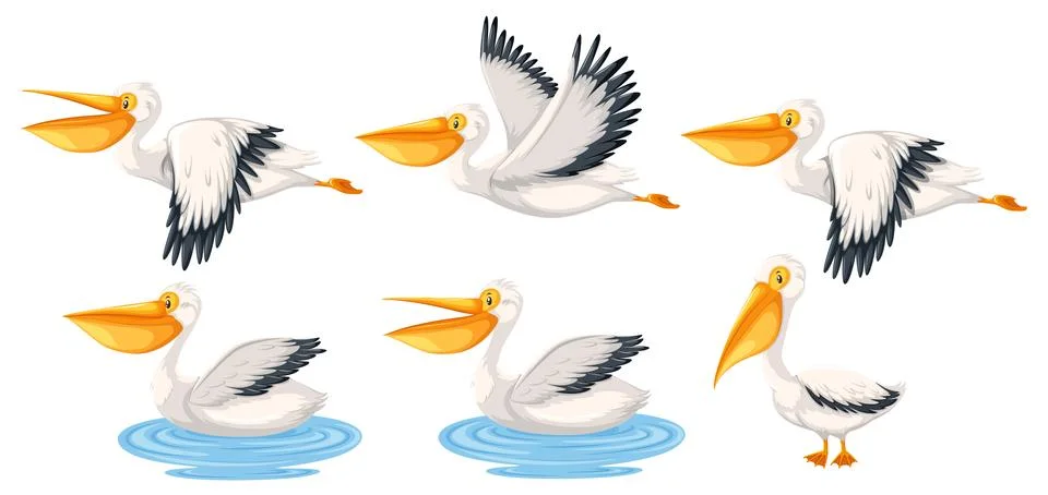 Set of pelican character Stock Illustration