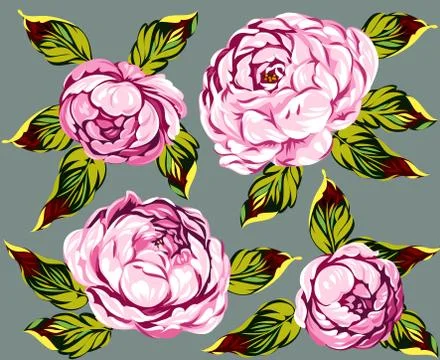 A set of peony 스톡 일러스트