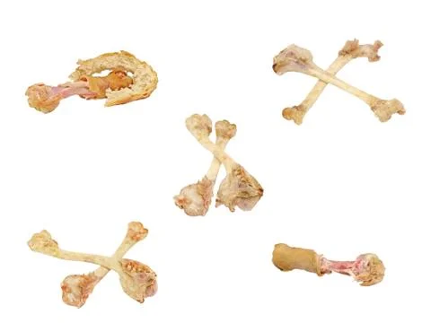Set of picked bones.isolated. Stock Photos