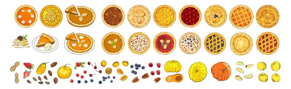 Set of pies with different toppings. Vector illustration isolated on white ba Stock Illustration