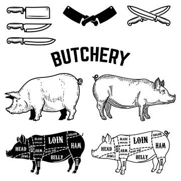 Set of pig isolated on white background. Pork meat. Design element for logo.. Stock Illustration