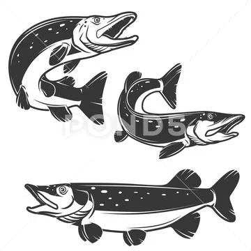 Set of pike icons isolated on white background. Design elements Stock Illustration