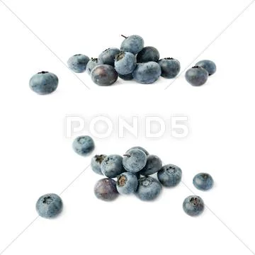 Set of Pile of Bilberry or blueberry over isolated white background Stock Photos