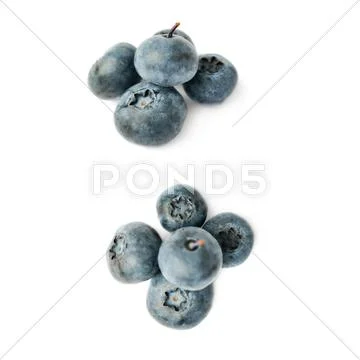 Set of Pile of Bilberry or blueberry over isolated white background Stock Photos