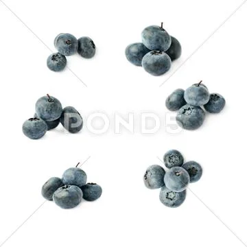 Set of Pile of Bilberry or blueberry over isolated white background Stock Photos