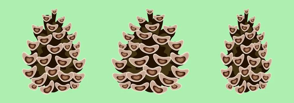 Set of pine / cedar cones isolated on a light green background. Elements of C Stock Illustration