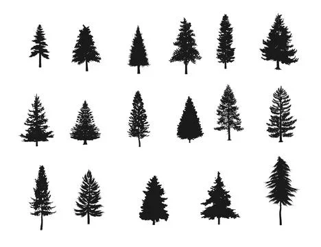 Set of pine tree silhouettes, fir forest tree Stock Illustration
