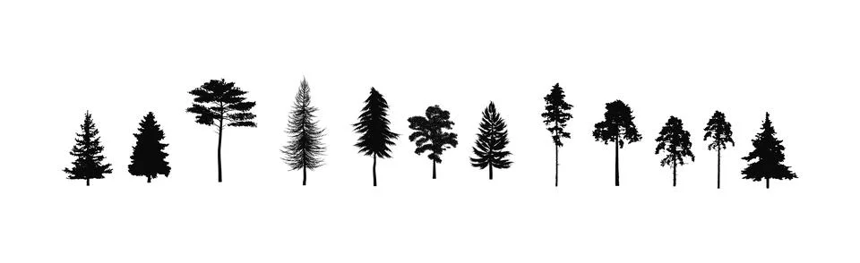 Set of pine tree silhouettes, forest trees Stock Illustration