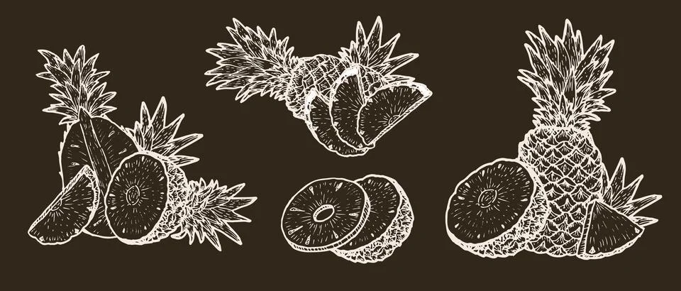 Set of pineapple fruit compositions. Sketch vector illustrations set on dark Stock Illustration