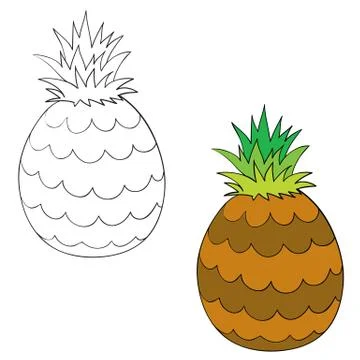Set of pineapple painted with black lines and painted, isolated object on a Stock Illustration