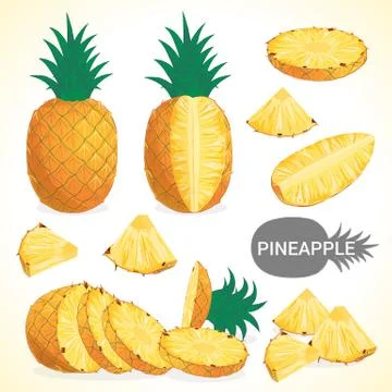 Set of pineapple in various styles vector format Stock Illustration