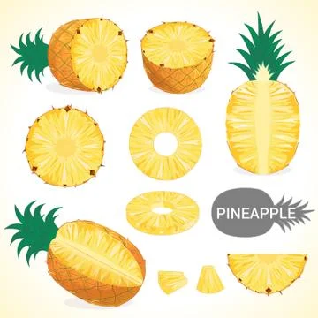 Set of pineapple in various styles vector format Stock Illustration