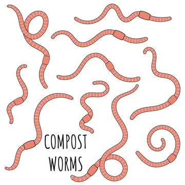 Set of pink earthworms. Worms for vermicomposting. Farming and agriculture Stock Illustration