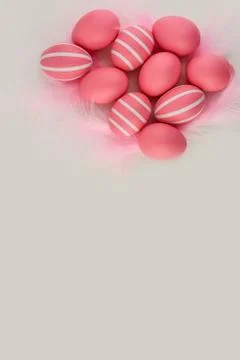 Set of pink striped Easter eggs with feathers on a light background. Stock Photos