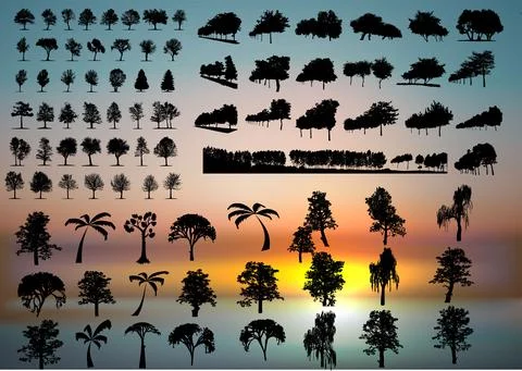 Set of plant and tree with its silhouette Stock Illustration