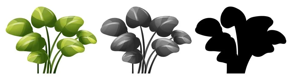 Set of plant design Stock Illustration