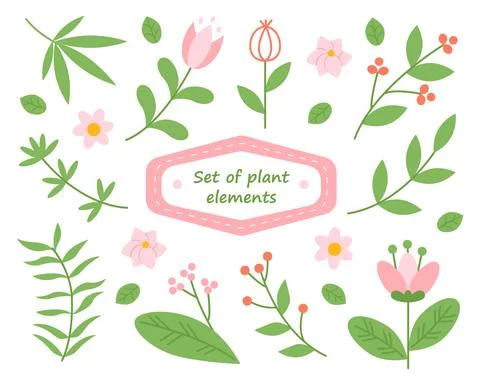 Set of plant elements - wildflowers, herbs, leaves イラスト素材