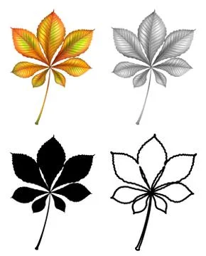 Set of plant Leaf Stock Illustration