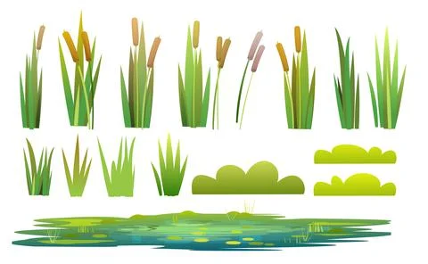 Set of plants and a objects. Grass, shrubs, reeds and cattails. Small swamp, Ilustración de archivo