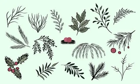 Set of Plants Isolated on White Background Stock Illustration