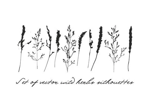 Set of plants vector silhouette. Summer illustration elements. ESP 10. Stock Illustration