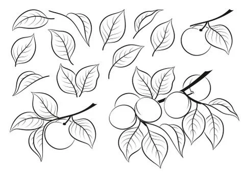 Set of Plum Pictograms Stock Illustration