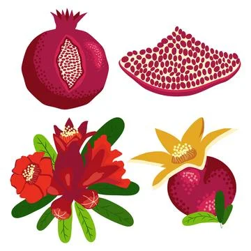 Set pomegranate fruit segment. Fruits collection isolated on white Ilustração Stock