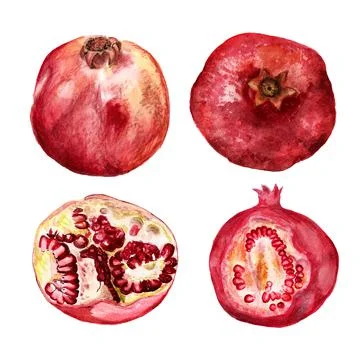 Set of pomegranates Stock Illustration