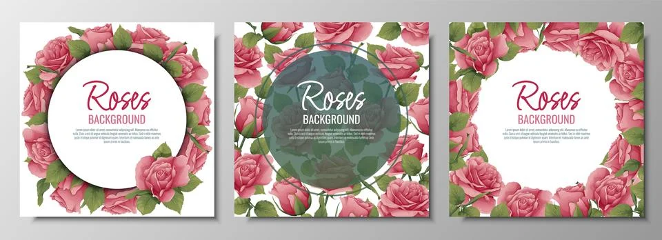 Set of postcards with roses. Border, frame with pink flowers and green leav.. Stock Illustration