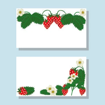 A set of postcards with sprigs of strawberries. Stock Illustration