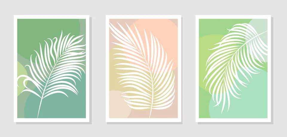 Set of posters or paintings with elements of tropical palm leaves  Stock Illustration