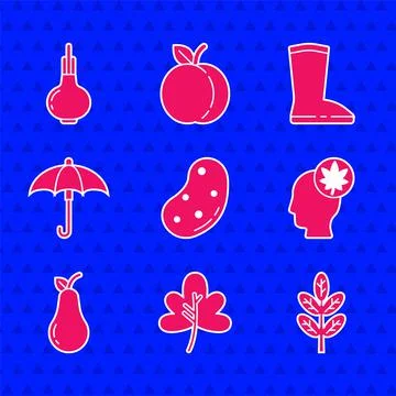 Set Potato, Leaf or leaves, Human head with leaf, Pear, Umbrella, Waterproof Stock Illustration
