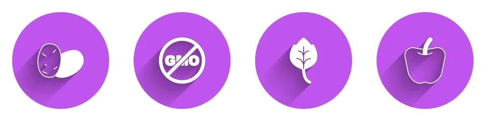 Set Potato, No GMO, Leaf or leaves and Apple icon with long shadow. Vector Illustrazione stock