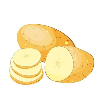 Set of potatoes whole in section slices, wedges, slices, isolated on white Stock Illustration