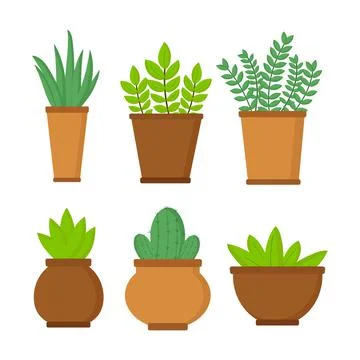 Set of pots with plants on white background Stock Illustration