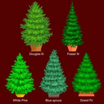 Set of potted christmas vector tree like fir or pine Blue spruce for New ye.. Stock Illustration