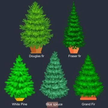 Set of potted christmas vector tree like fir or pine Blue spruce for New ye.. Illustrazione stock