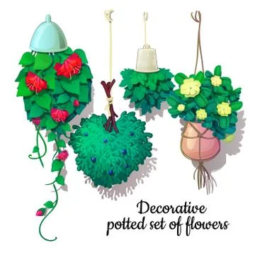 Set of potted flowers growing down. Vector illustration. Illustrazione stock