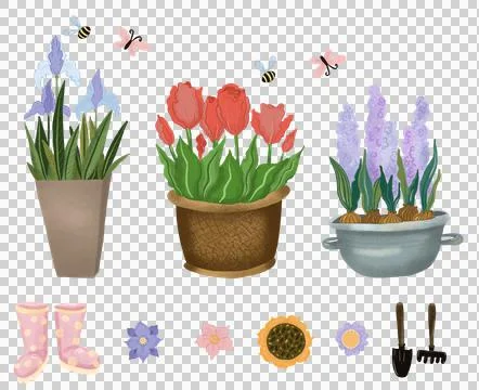 Set of potted flowers Stock Illustration