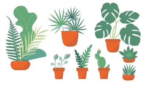 A set of potted houseplants. Stock Illustration